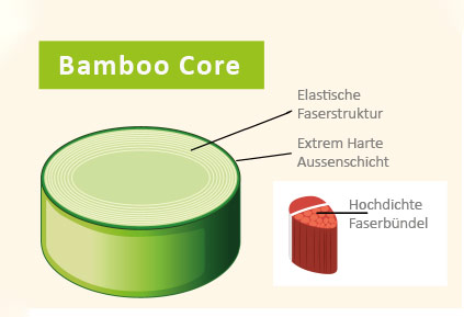 Schaubild Bambus-Holme