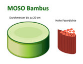 Faserstruktur Infografik