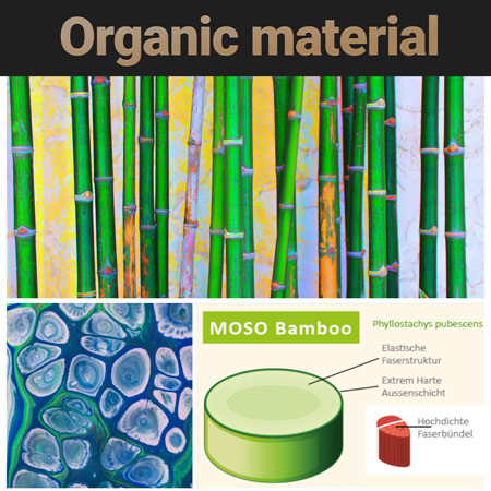 Nachhaltiger Moso Bambuswald