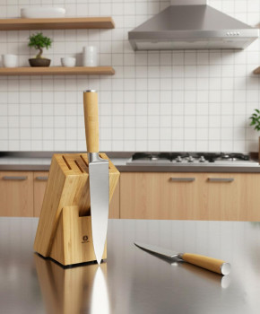 Messerblock + Chefkochmesser