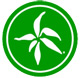 Bambus-Natur-Holz